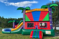 551510695 1501498467831399 3713366059671026267 n 1760754199 Tropical Combo (Dry)