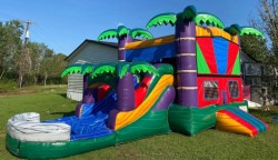 564039998 2228406987659437 5670869784338663350 n 1760754200 Tropical Combo (Dry)