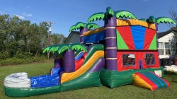 Tropical Combo (Dry)